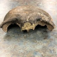 El cráneo humano hallado por unos kayakistas en el río de Minnesota resultó ser de hace unos 8,000 años