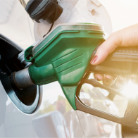 Precios de los combustibles continúan estables