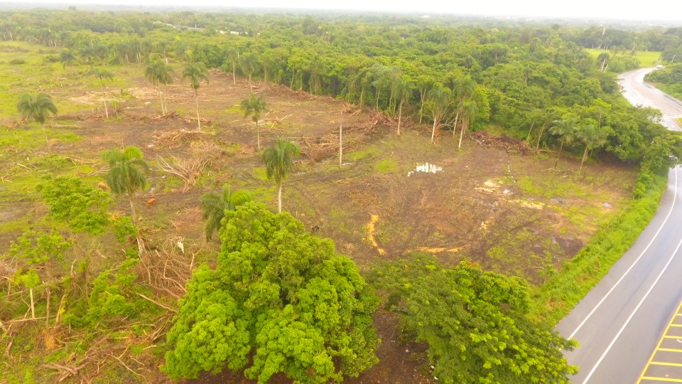 Someten a la Justicia a empresa por presuntamente deforestar área protegida
