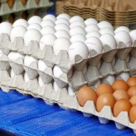 Desde el viernes, huevos costarán 3 pesos a través del Inespre
