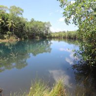Plantean soluciones a problemática medioambiental de Samaná