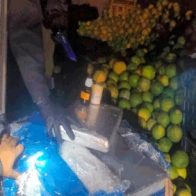 Incautan en Perú 4 toneladas de cocaína camuflada como pulpa de mango