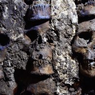 Descubren 150 cráneos de un posible altar maya en el sur de México