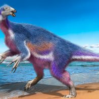 Científicos japoneses descubren un nuevo taxón de terizinosaurio