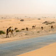 Hallan cadáveres de 4 buscadores de oro tras perderse en desierto mauritano