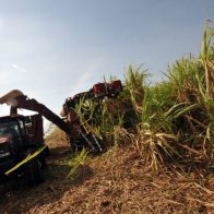 Cuba busca reanimar el sector azucarero tras su peor resultado en un siglo