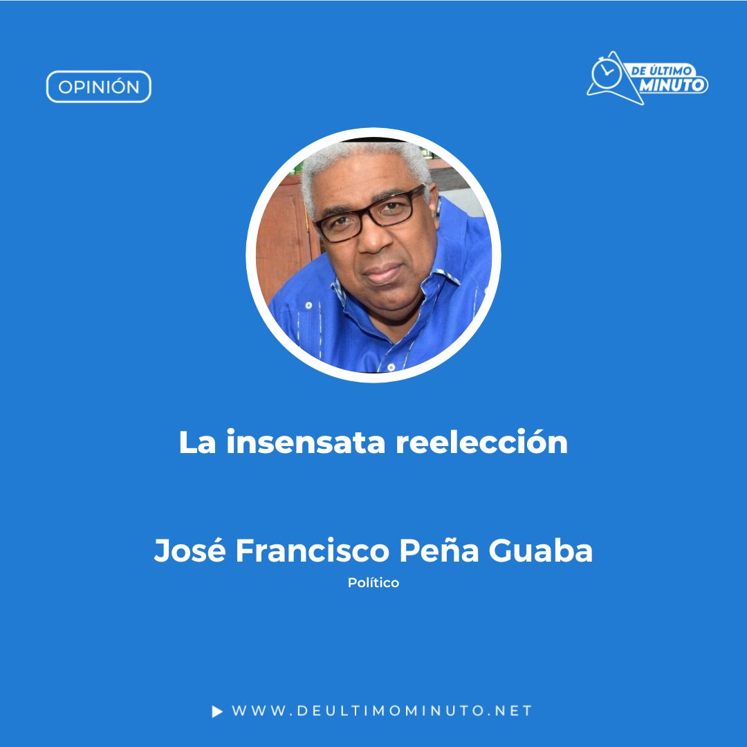 insensata reelección