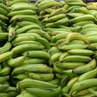Hallan 840 kilos de cocaína colombiana entre plátanos en supermercados