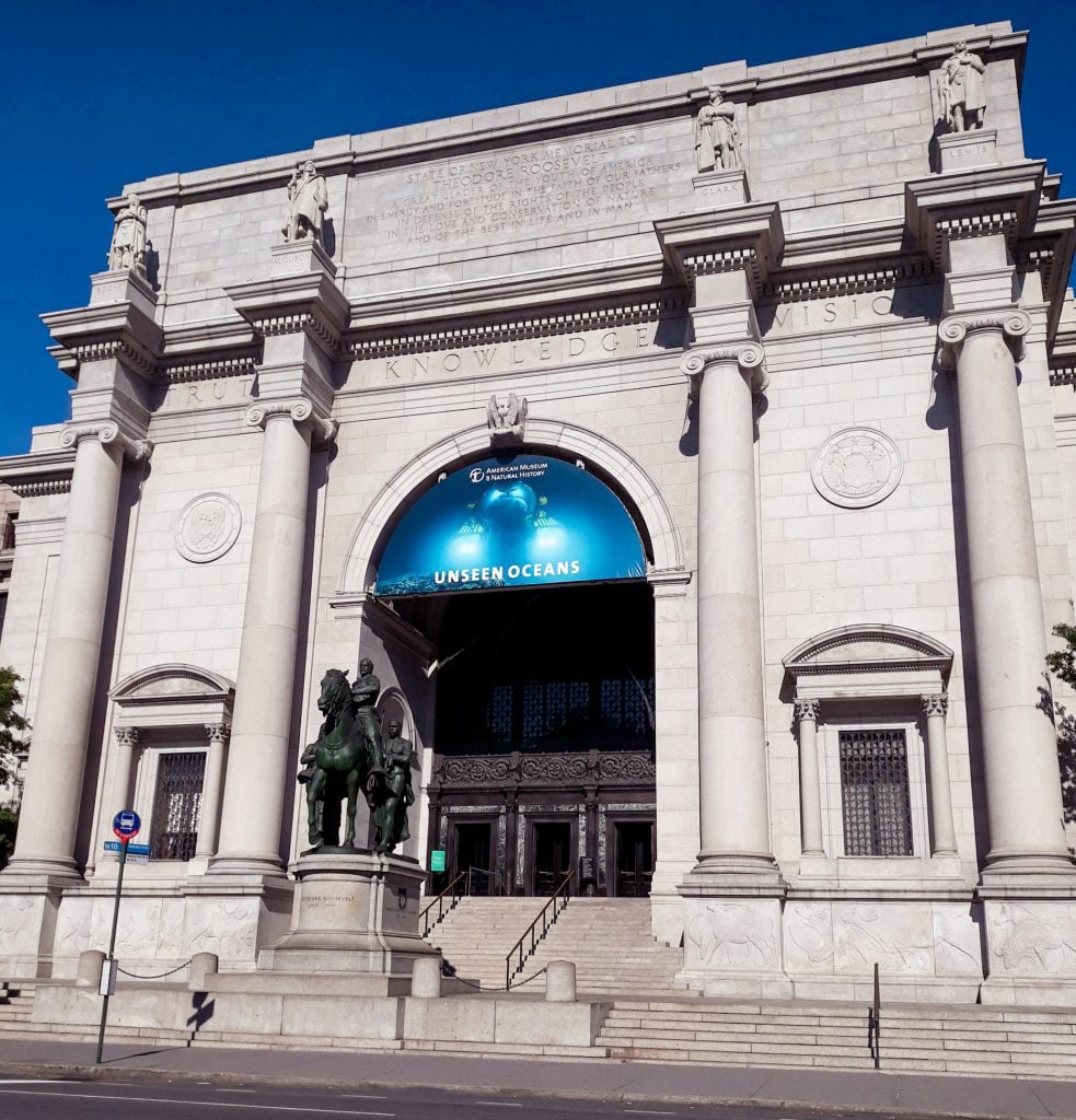 Se retira primera mujer que presidió Museo de Historia Natural de Nueva York
