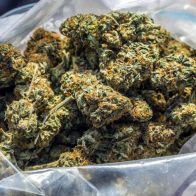 Incautan casi 43 kilos de marihuana en estado amazónico de Venezuela