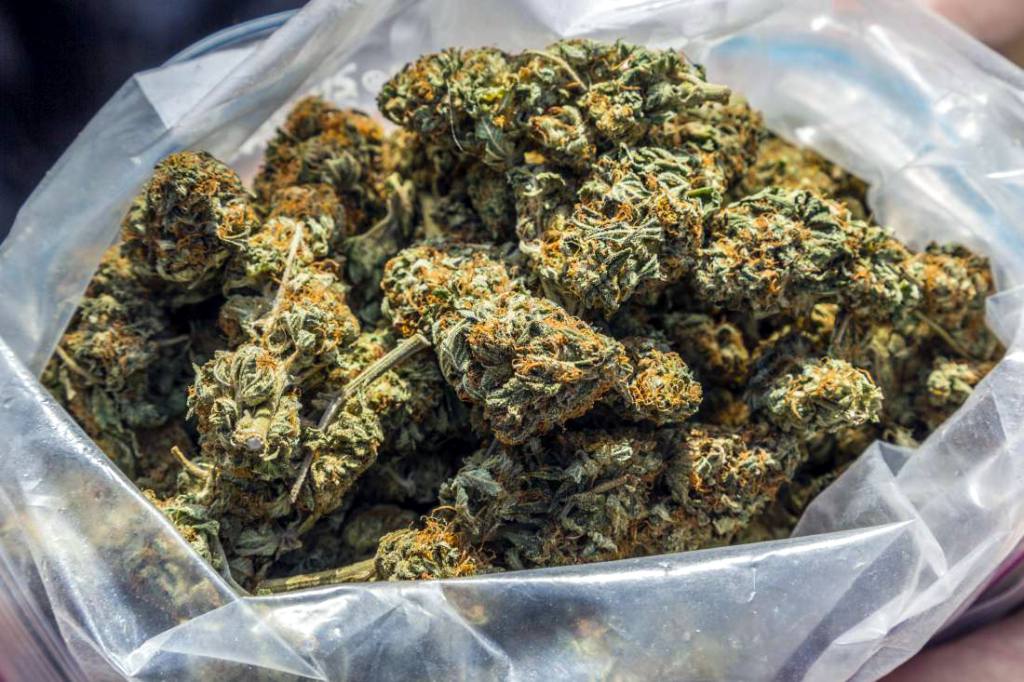Incautan casi 43 kilos de marihuana en estado amazónico de Venezuela