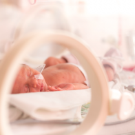 neonato