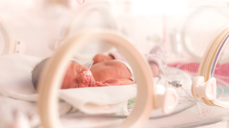 neonato