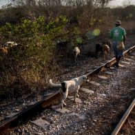 Denuncian ante Unesco daños a patrimonio arqueológico por Tren Maya en México