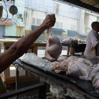 En RD se consumen 18.3 millones de pollos al mes