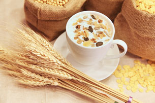 Nutricionista