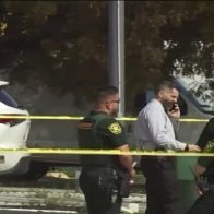 Trabajadora de Servicio Postal muere tras ser mordida por 5 perros en Florida