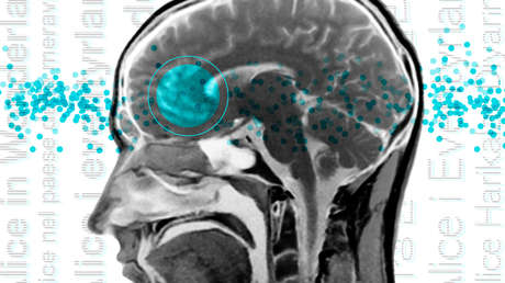 Científicos descubren la molécula que da origen al miedo en el cerebro