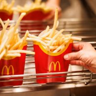 papas fritas frías
