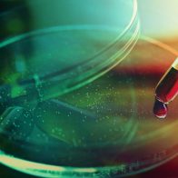 Confirman la primera coinfección por VIH, viruela del mono y Covid-19