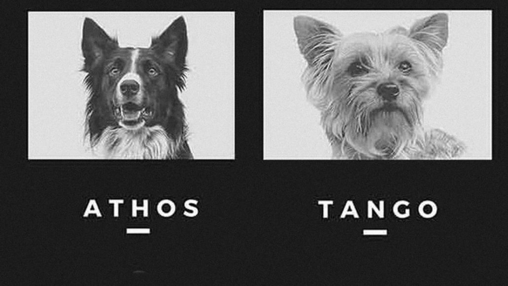 Condenan a más de 10 años de prisión a un hombre que envenenó dos perros rescatistas
