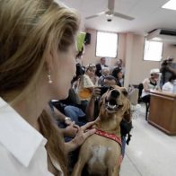 Primer juicio penal por maltrato animal hace historia en México