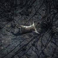 El mundo debe prepararse para un posible "final climático", alertan expertos