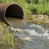 Solicitan apertura a juicio contra empresa porcicultora por contaminación de ríos