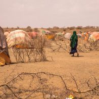Unicef alerta del riesgo para millones de niños por la sequía en África