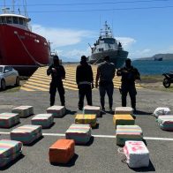 Autoridades confiscan 565 paquetes de cocaína en Peravia