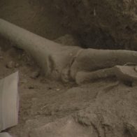 Descubren cementerio de unos 3000 años de antigüedad en Samaná