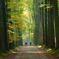 Prohíben fumar en bosques y reservas naturales en una región de Bruselas