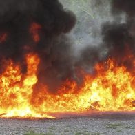 Autoridades incinera cerca de media tonelada de drogas