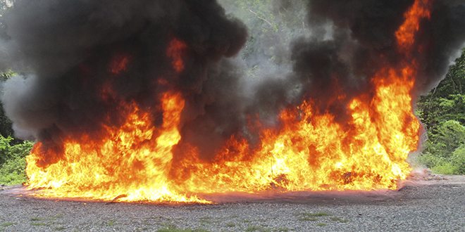 Autoridades incinera cerca de media tonelada de drogas