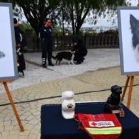 Diez años de cárcel para asesino de perros en el centro de México
