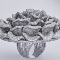 Anillo