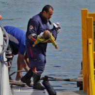 Naufragio en Brasil reporta 11 muertes y 8 desaparecidos