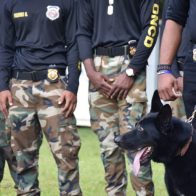 DNCD ingresa 90 aspirantes agentes antinarcóticos y binomios caninos