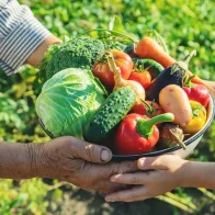 Agricultura dice que no habrá escasez de alimentos pese a paso de Fiona
