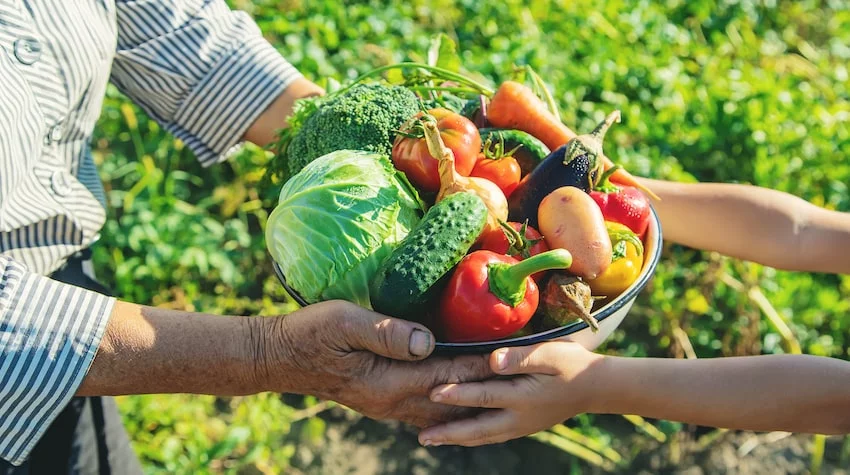 Agricultura dice que no habrá escasez de alimentos pese a paso de Fiona