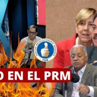 Fósiles del PRM