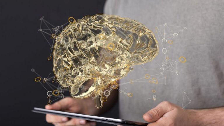 Estudio: El cerebro humano funciona como una computadora cuántica 4 | Noticias de hoy en República Dominicana 6355b8bee9ff716ede5c5323 | Noticias de hoy en De Último Minuto