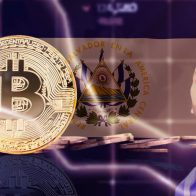 Bukele afirma en artículo que en El Salvador no hay pérdidas con bitcoin