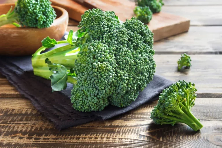 brocoli 2 | Noticias de hoy en De Último Minuto