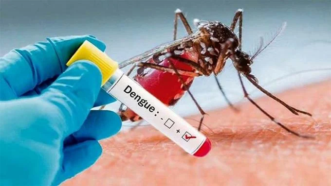 RD registra 8,340 casos de dengue; Salud Publica dice cifra está "dentro de lo esperado"
