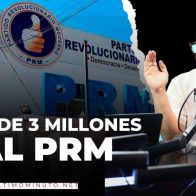 EL PRM ES EL ÚNICO PARTIDO CON UNA GRAN ESTRUCTURA EN EL PAÍS | POLITIKAL