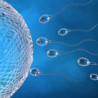 fertilidad masculina