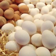 huevos