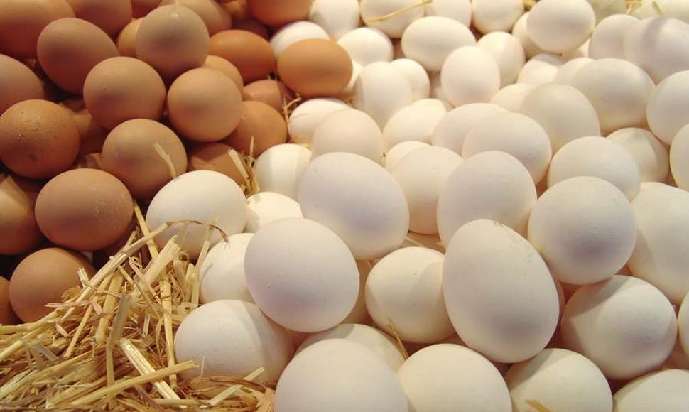 huevos