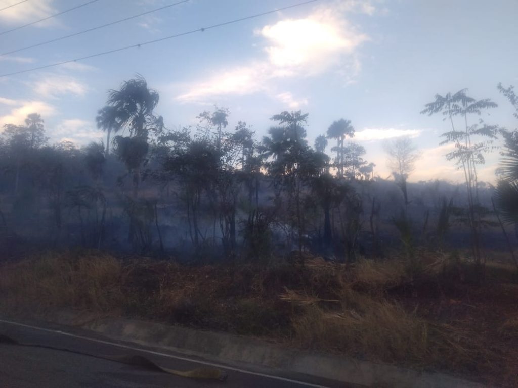 Incendios reducen a cenizas una vivienda y finca de pastos en Línea Noroeste